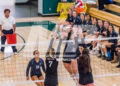 Thumbnail 1 in CCS Div1 Girls Volleyball Championship (Los Gatos vs. Carlmont) photogallery.