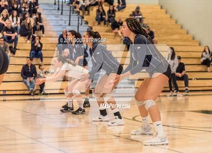 Thumbnail 2 in CCS Div1 Girls Volleyball Championship (Los Gatos vs. Carlmont) photogallery.
