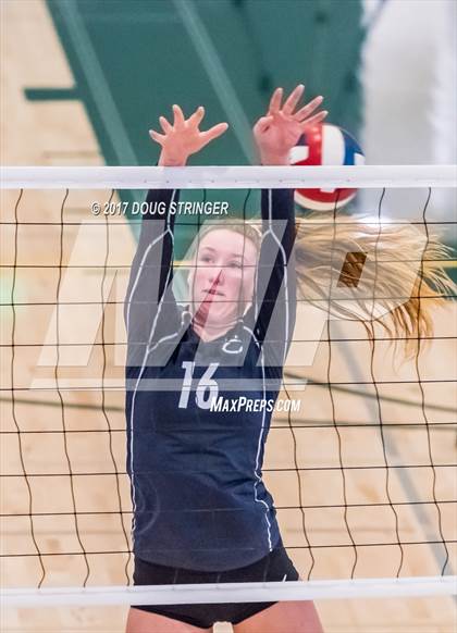 Thumbnail 3 in CCS Div1 Girls Volleyball Championship (Los Gatos vs. Carlmont) photogallery.