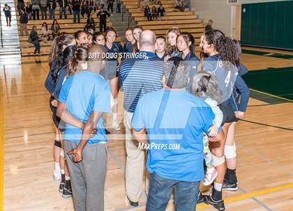 Thumbnail 1 in CCS Div1 Girls Volleyball Championship (Los Gatos vs. Carlmont) photogallery.