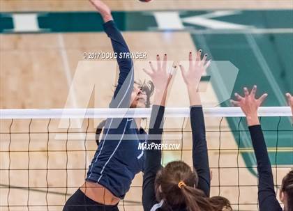 Thumbnail 3 in CCS Div1 Girls Volleyball Championship (Los Gatos vs. Carlmont) photogallery.