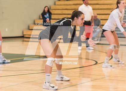 Thumbnail 3 in CCS Div1 Girls Volleyball Championship (Los Gatos vs. Carlmont) photogallery.