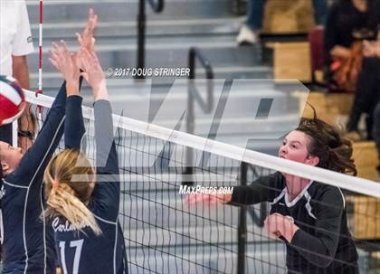 Thumbnail 3 in CCS Div1 Girls Volleyball Championship (Los Gatos vs. Carlmont) photogallery.