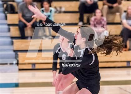 Thumbnail 1 in CCS Div1 Girls Volleyball Championship (Los Gatos vs. Carlmont) photogallery.