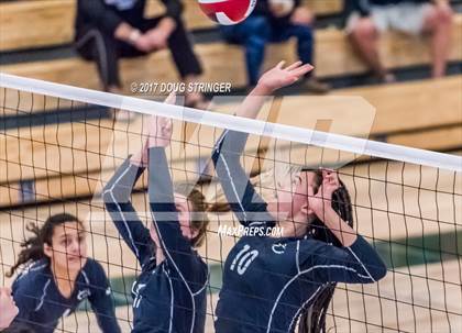 Thumbnail 3 in CCS Div1 Girls Volleyball Championship (Los Gatos vs. Carlmont) photogallery.