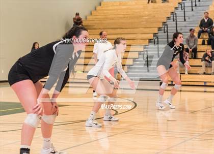 Thumbnail 2 in CCS Div1 Girls Volleyball Championship (Los Gatos vs. Carlmont) photogallery.