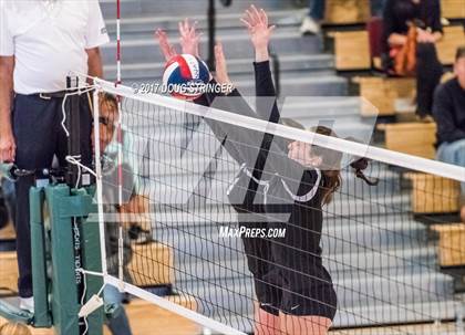 Thumbnail 3 in CCS Div1 Girls Volleyball Championship (Los Gatos vs. Carlmont) photogallery.