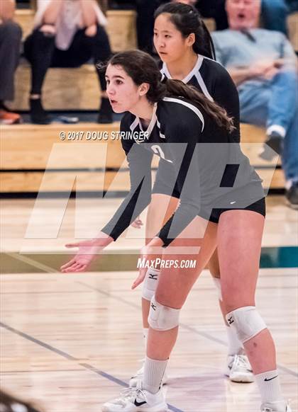 Thumbnail 1 in CCS Div1 Girls Volleyball Championship (Los Gatos vs. Carlmont) photogallery.