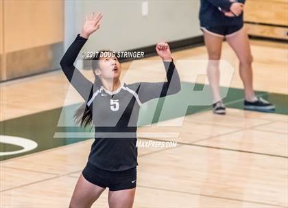 Thumbnail 3 in CCS Div1 Girls Volleyball Championship (Los Gatos vs. Carlmont) photogallery.