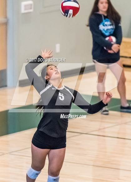 Thumbnail 2 in CCS Div1 Girls Volleyball Championship (Los Gatos vs. Carlmont) photogallery.