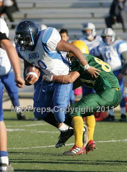 Thumbnail 1 in Community Harvest vs. Animo Robinson (LACS 8 Man Final) photogallery.