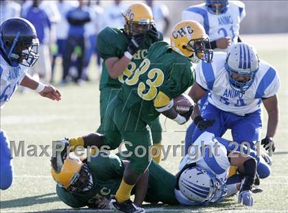 Thumbnail 3 in Community Harvest vs. Animo Robinson (LACS 8 Man Final) photogallery.