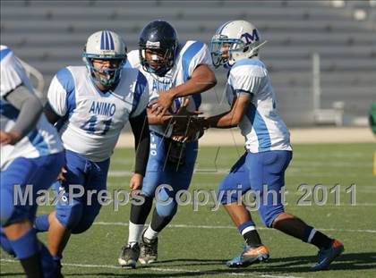 Thumbnail 1 in Community Harvest vs. Animo Robinson (LACS 8 Man Final) photogallery.
