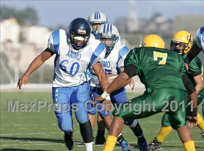 Thumbnail 3 in Community Harvest vs. Animo Robinson (LACS 8 Man Final) photogallery.