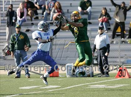 Thumbnail 3 in Community Harvest vs. Animo Robinson (LACS 8 Man Final) photogallery.