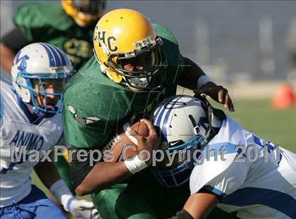 Thumbnail 1 in Community Harvest vs. Animo Robinson (LACS 8 Man Final) photogallery.