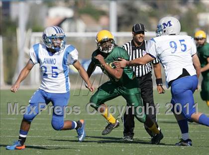 Thumbnail 1 in Community Harvest vs. Animo Robinson (LACS 8 Man Final) photogallery.
