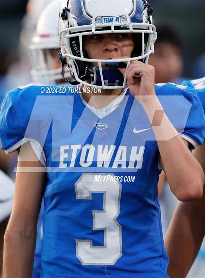 Thumbnail 3 in Lassiter @ Etowah photogallery.