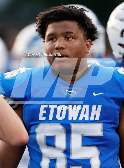 Thumbnail 1 in Lassiter @ Etowah photogallery.