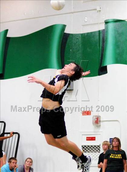 Thumbnail 1 in Royal vs. Westlake (CIF SS D2 Final) photogallery.