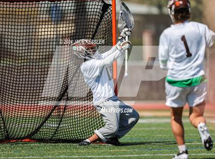 Thumbnail 3 in Palos Verdes @ Crespi photogallery.