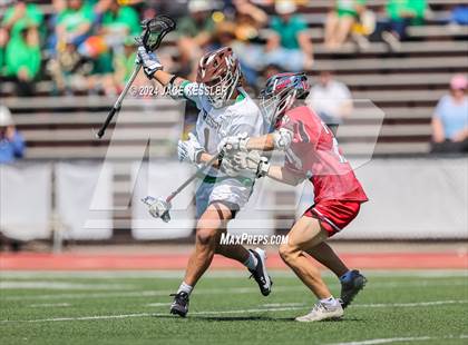 Thumbnail 3 in Palos Verdes @ Crespi photogallery.