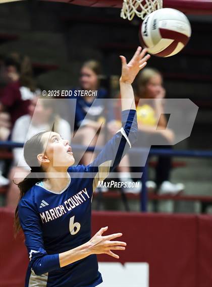 Thumbnail 3 in JV: Campbellsville @ Marion County photogallery.