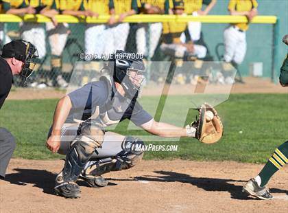 Thumbnail 3 in Branham @ Live Oak photogallery.
