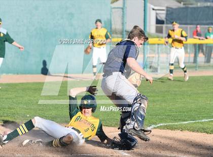 Thumbnail 1 in Branham @ Live Oak photogallery.