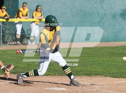 Thumbnail 2 in Branham @ Live Oak photogallery.
