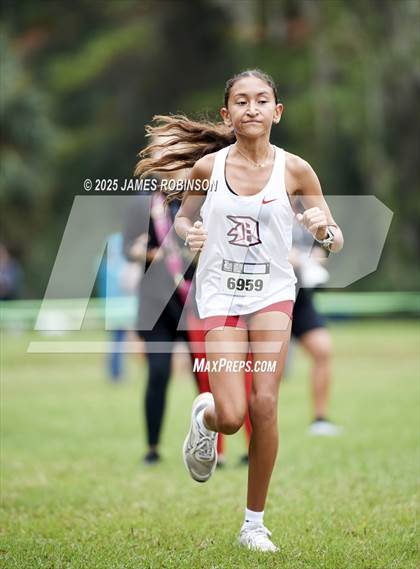 Thumbnail 2 in JV: New World Fall Spectacular photogallery.