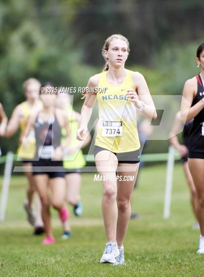 Thumbnail 2 in JV: New World Fall Spectacular photogallery.