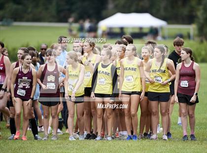 Thumbnail 2 in JV: New World Fall Spectacular photogallery.