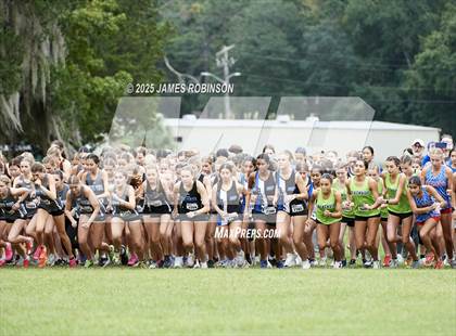 Thumbnail 3 in JV: New World Fall Spectacular photogallery.