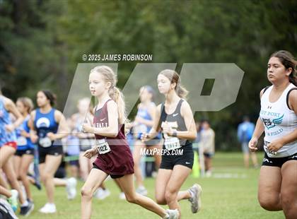Thumbnail 1 in JV: New World Fall Spectacular photogallery.