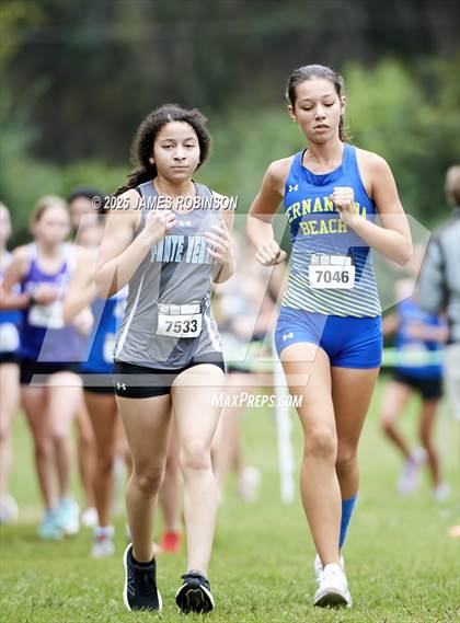 Thumbnail 3 in JV: New World Fall Spectacular photogallery.