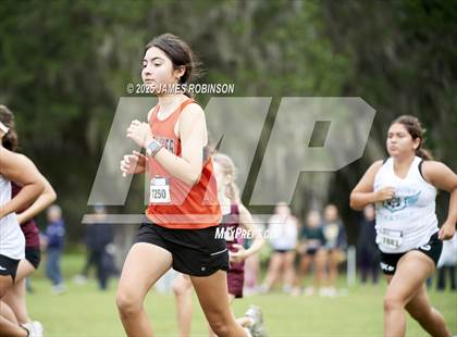 Thumbnail 3 in JV: New World Fall Spectacular photogallery.