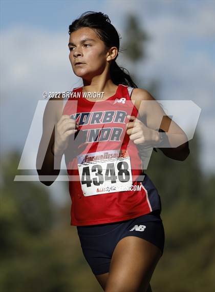 Thumbnail 3 in League Finals (Yorba Regional Park) photogallery.