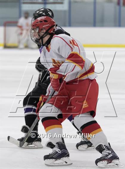 Thumbnail 3 in Hamburg @ Williamsville East photogallery.