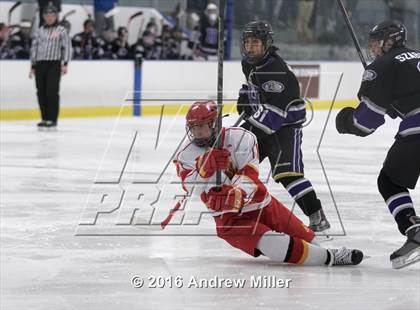 Thumbnail 3 in Hamburg @ Williamsville East photogallery.