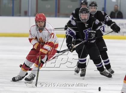 Thumbnail 3 in Hamburg @ Williamsville East photogallery.