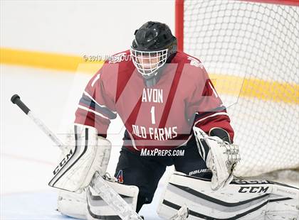 Thumbnail 3 in Loomis Chaffee vs. Avon Old Farms (Avon Jamboree) photogallery.