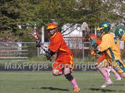 Thumbnail 1 in Williamsville East @ Williamsville North photogallery.