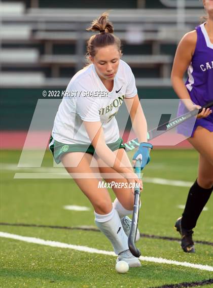 Thumbnail 2 in Carrboro @ Cardinal Gibbons photogallery.
