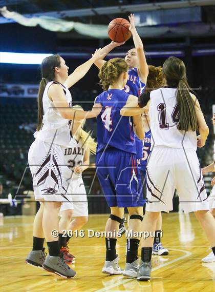 Thumbnail 1 in Idalia vs. Briggsdale (CHSAA 1A Final) photogallery.