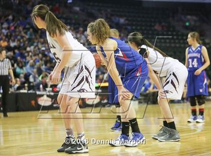 Thumbnail 1 in Idalia vs. Briggsdale (CHSAA 1A Final) photogallery.