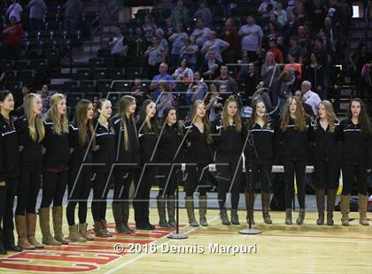 Thumbnail 1 in Idalia vs. Briggsdale (CHSAA 1A Final) photogallery.
