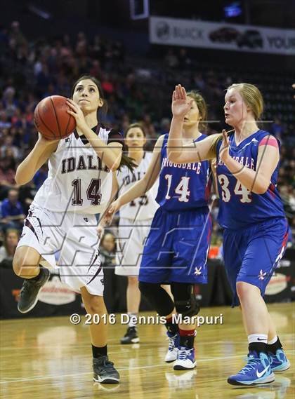 Thumbnail 2 in Idalia vs. Briggsdale (CHSAA 1A Final) photogallery.
