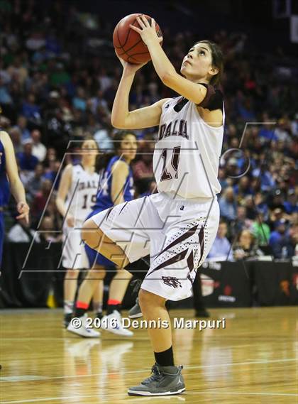 Thumbnail 1 in Idalia vs. Briggsdale (CHSAA 1A Final) photogallery.