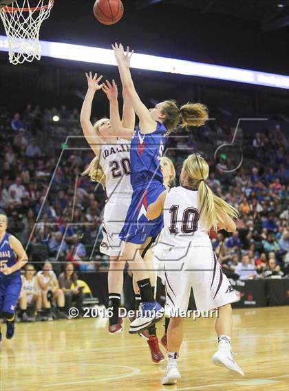 Thumbnail 1 in Idalia vs. Briggsdale (CHSAA 1A Final) photogallery.